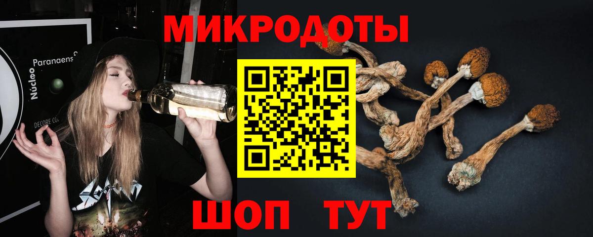даркнет сайт  Галлюциногенные грибы Cubensis  Вход с VPN  Старый Оскол  Галлюциногенные грибы Cubensis 